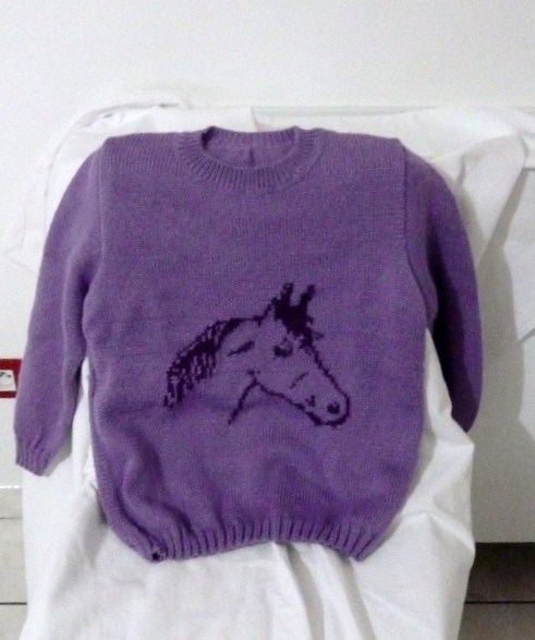 pull 12 ans cheval   stock : 1