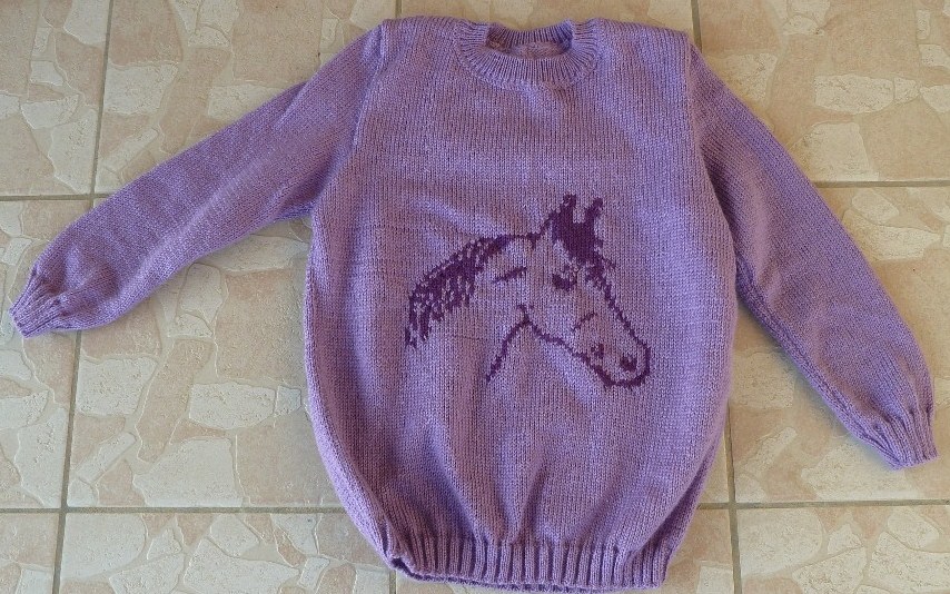 pull 12 ans cheval mauve