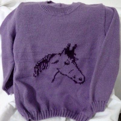 pull cheval